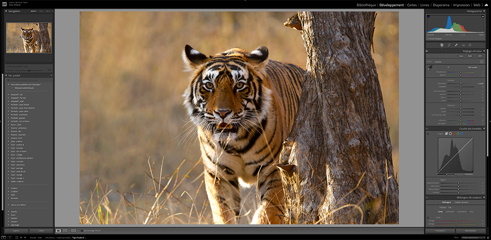 Image de lightroom illustrant ma formation lightroom